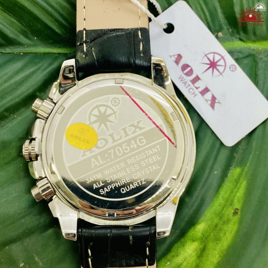 Đồng Hồ Nam Aolix - 7054G - 6 kim