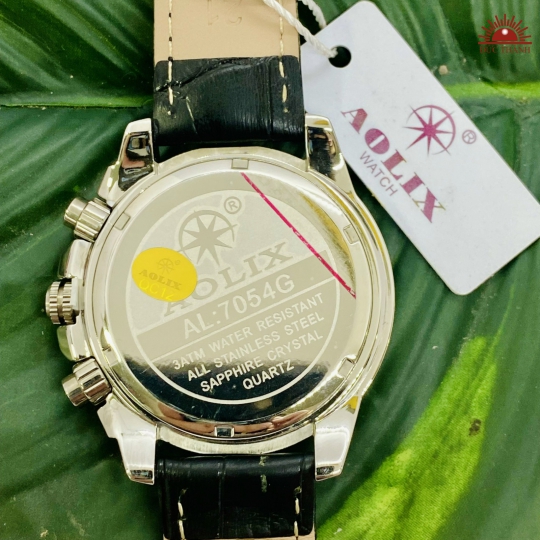 Đồng Hồ Nam Aolix - 7054G - 6 kim